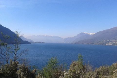 Arriva la breva